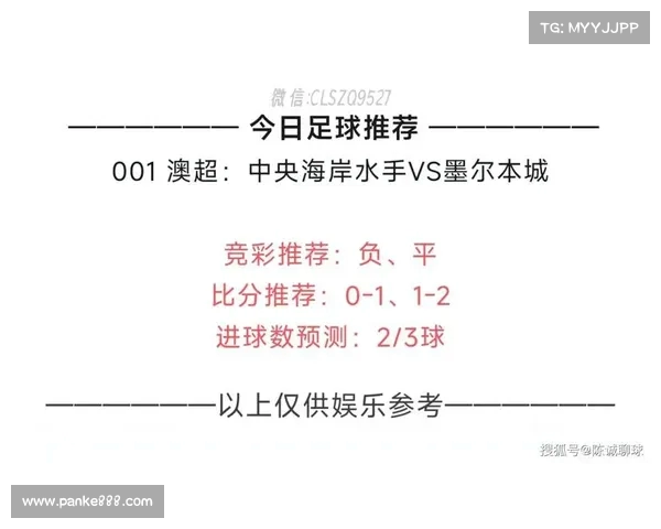 法甲竞猜分析与投注攻略 帮你抓住赢利机会 精准预测每场比赛走势 法甲竞猜分析与投注攻略 帮你抓住赢利机会 精准预测每场比赛走势